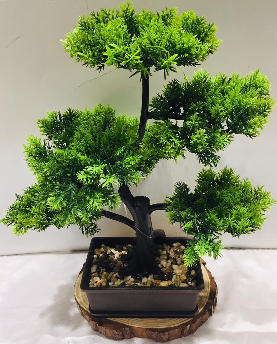 Bonsai Tree Artificial Style Plant With Modern Touch Indoor Ideas By Tamrapatra