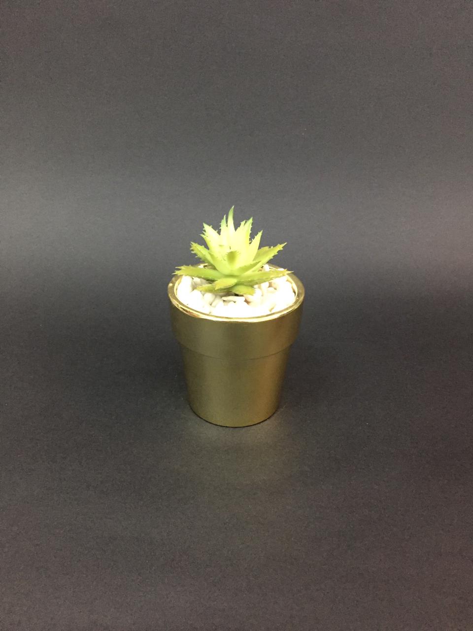 Golden Classic Finished Pots With Dazzling Succulents Decoration Tamrapatra