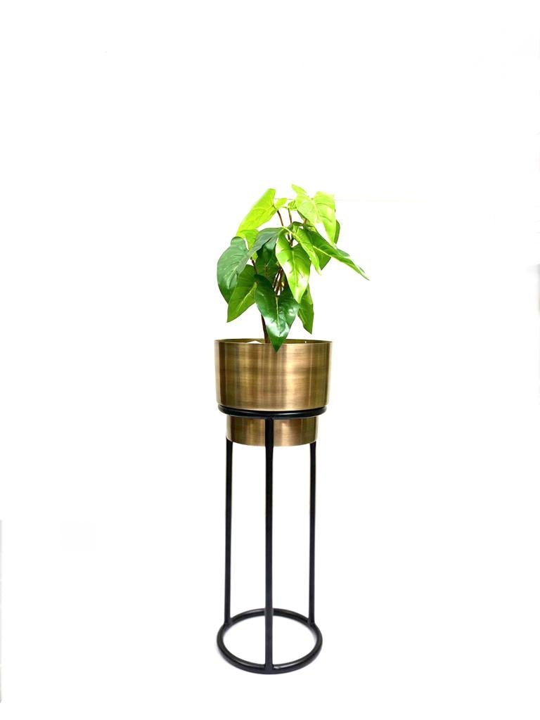Modish Gold Planters On Stand Exclusive Designs Handcrafted By Tamrapatra
