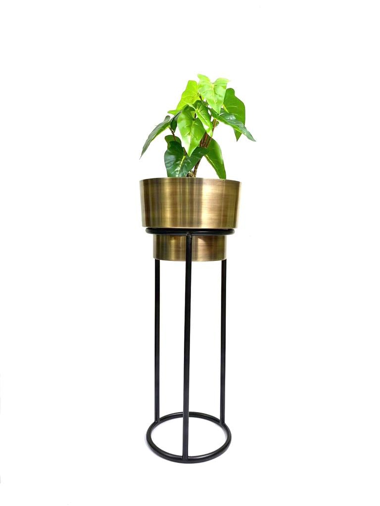 Modish Gold Planters On Stand Exclusive Designs Handcrafted By Tamrapatra