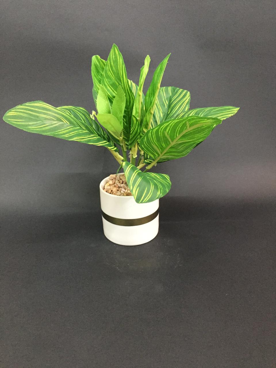 Modern White Pots With Golden Ring With Designer Leafy Plant Tamrapatra
