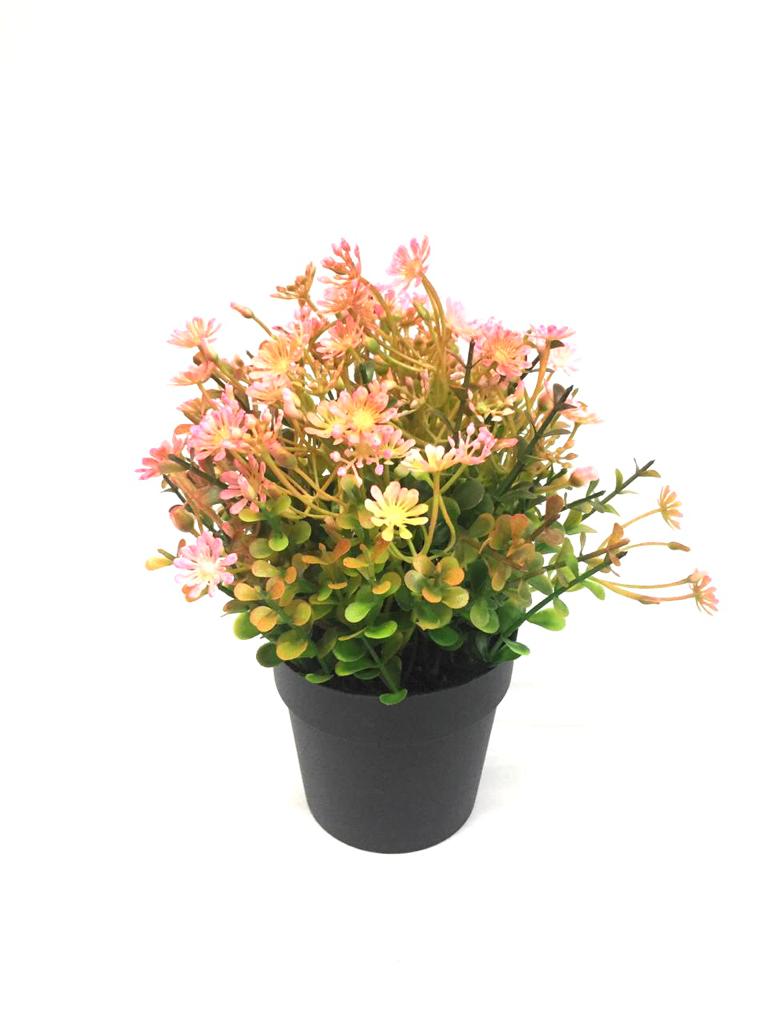 Set Up Floral Arrangements In Your Living Space In Black Pots By Tamrapatra