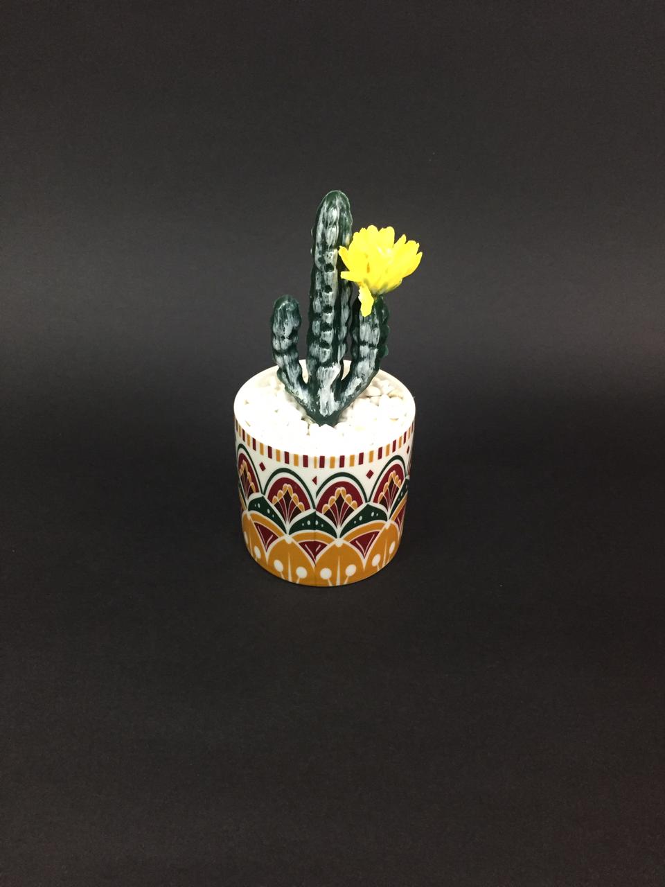 Exclusive Decorative Pots With Succulents Must Buy Limited Stock Tamrapatra