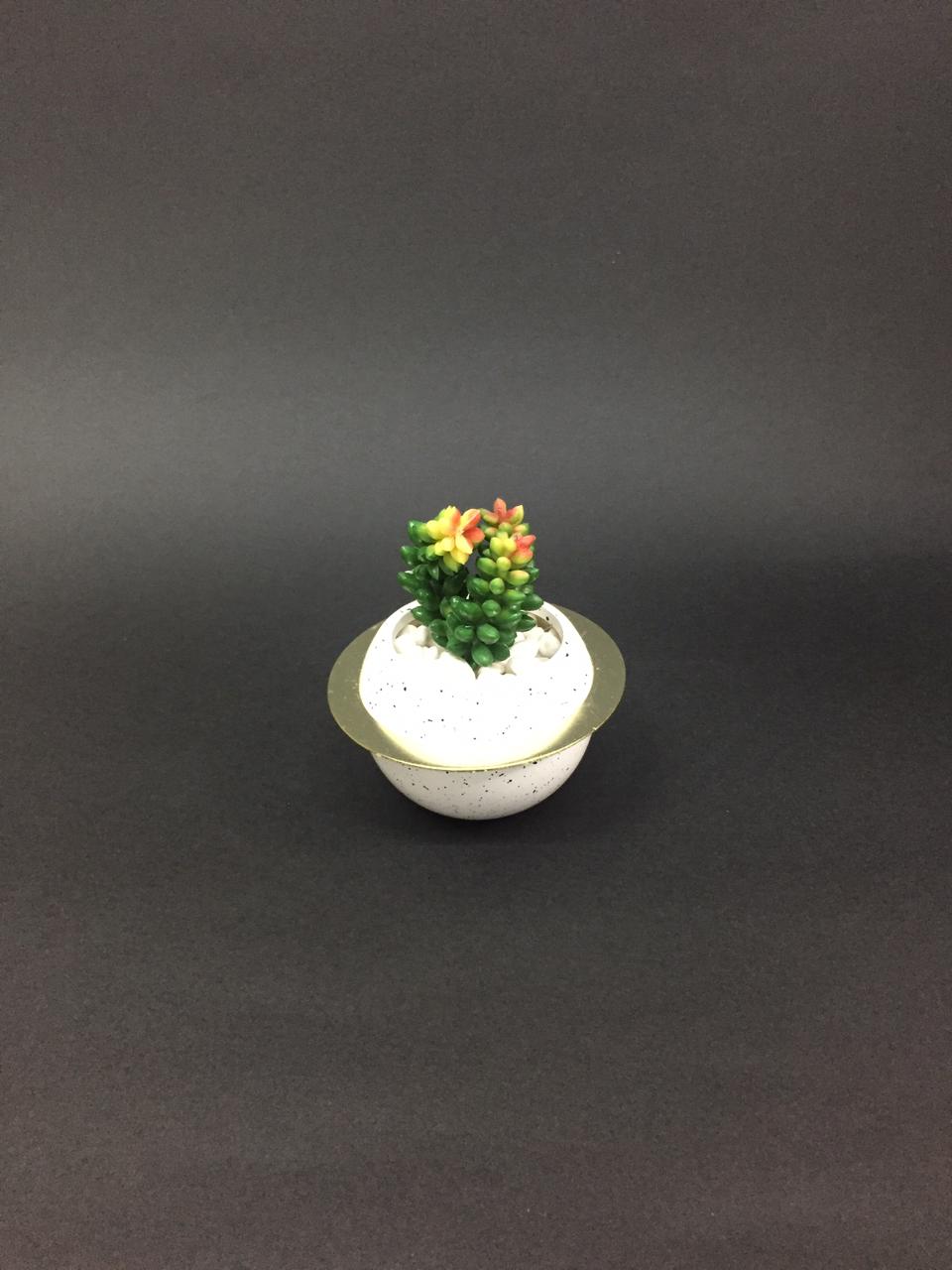 Beautiful White Golden Ring Style Pots With Colorful Succulents By Tamrapatra