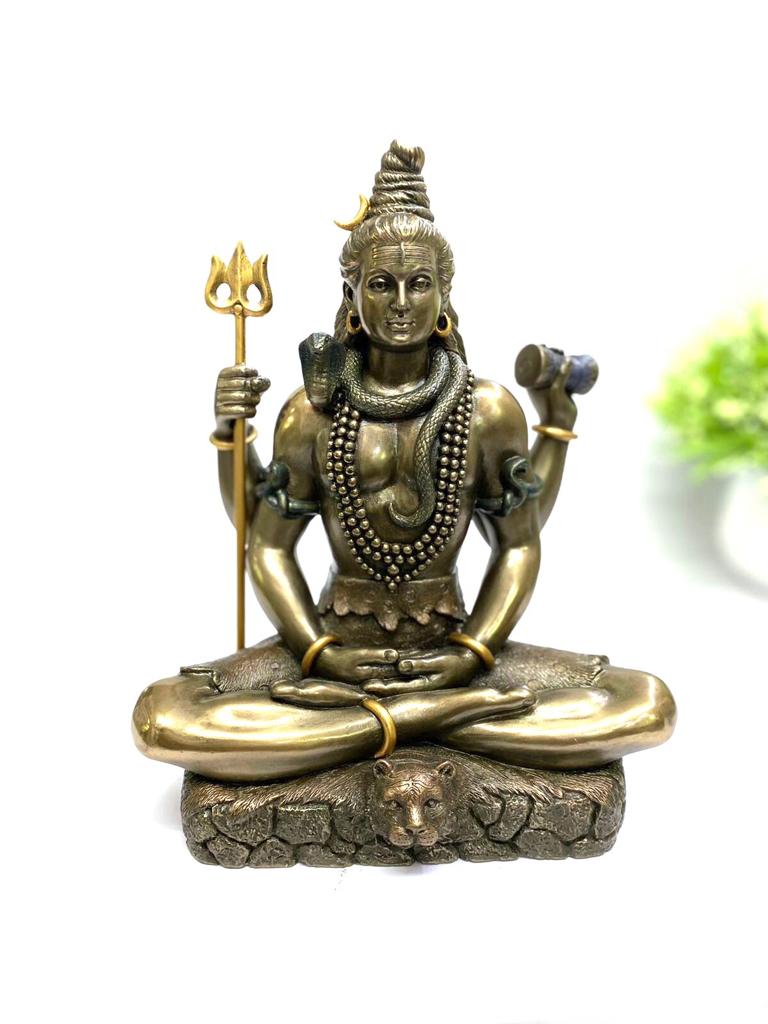 Authentic Cold Cast Bronze Shiva Padma Sana Premium Quality Idols Tamrapatra