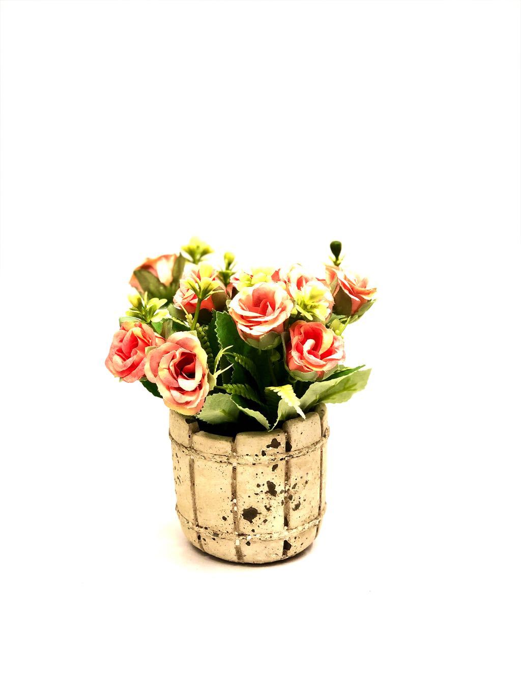Barrel Style Small Lovely Rose Plant In Different Shades Gifts Tamrapatra