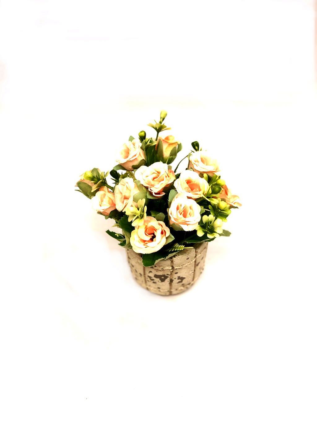 Barrel Style Small Lovely Rose Plant In Different Shades Gifts Tamrapatra