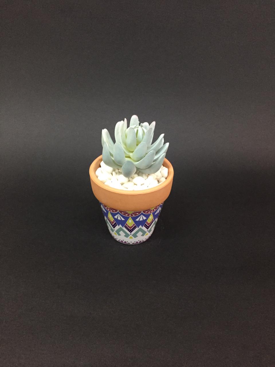 Amazing Designer Terracotta Pots With Various Indoor Succulents By Tamrapatra
