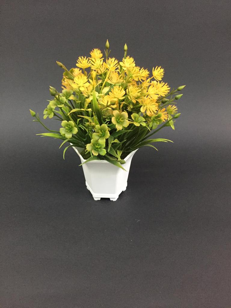 Bucket Styled Flower Pot in Contrasting Shades Plant Collection By Tamrapatra