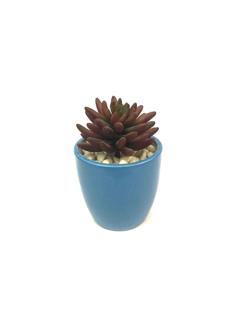 Ceramic Pot Planter Various Stylish Designs For Home Office From Tamrapatra