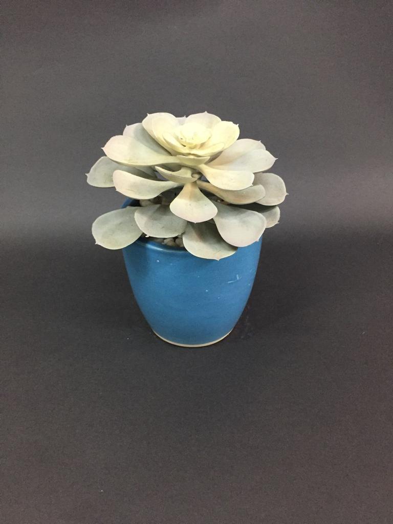 Ceramic Pot Planter Various Stylish Designs For Home Office From Tamrapatra