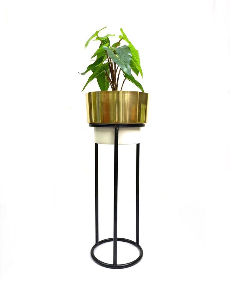 White Gold Shades Exclusive Metal Planters On Black Stand From Tamrapatra