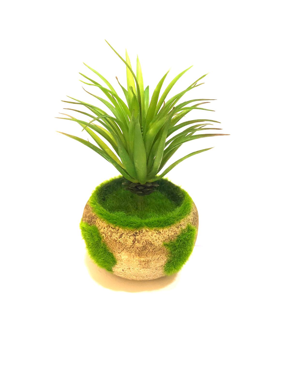 Artificial Succulents Moss Indoor Plant In Round Grass Cork Pots By Tamrapatra